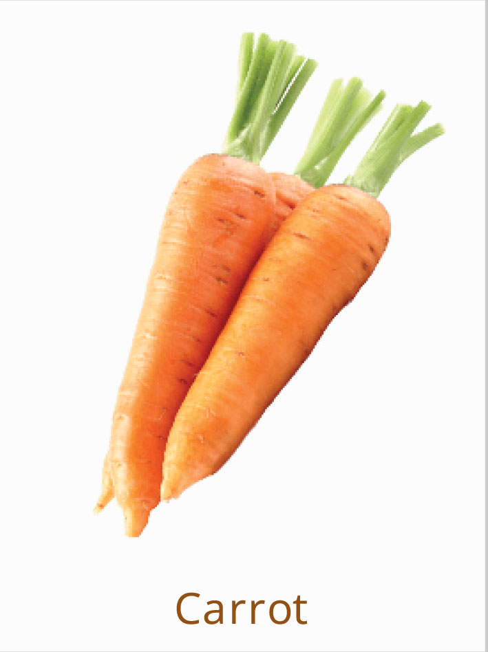 carrot