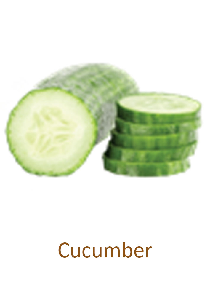cucumber
