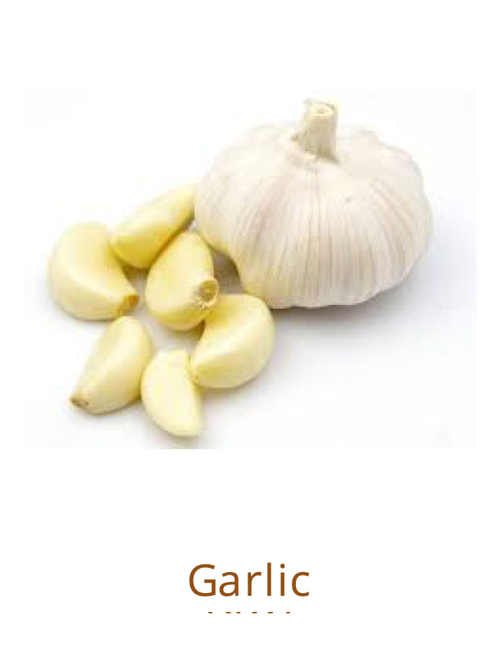 garlic