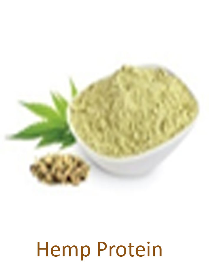 hemp protein