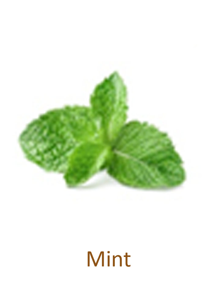 mint