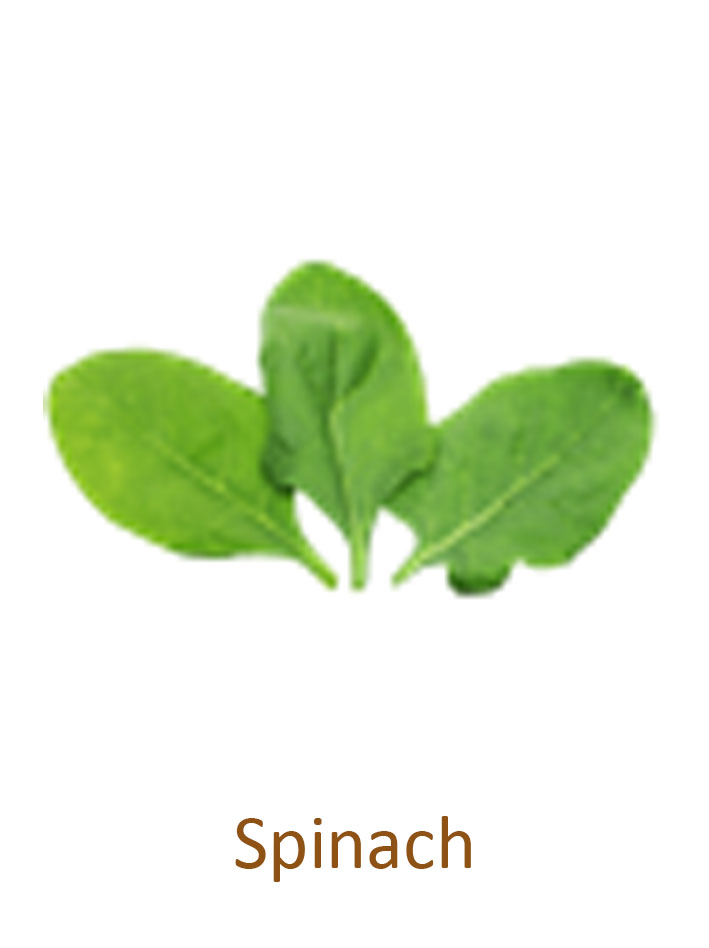 spinach
