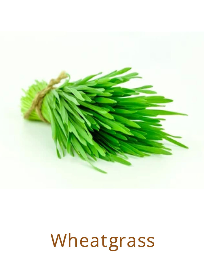 wheatg